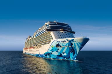 9 daagse Caribbean cruise met de Norwegian Bliss
