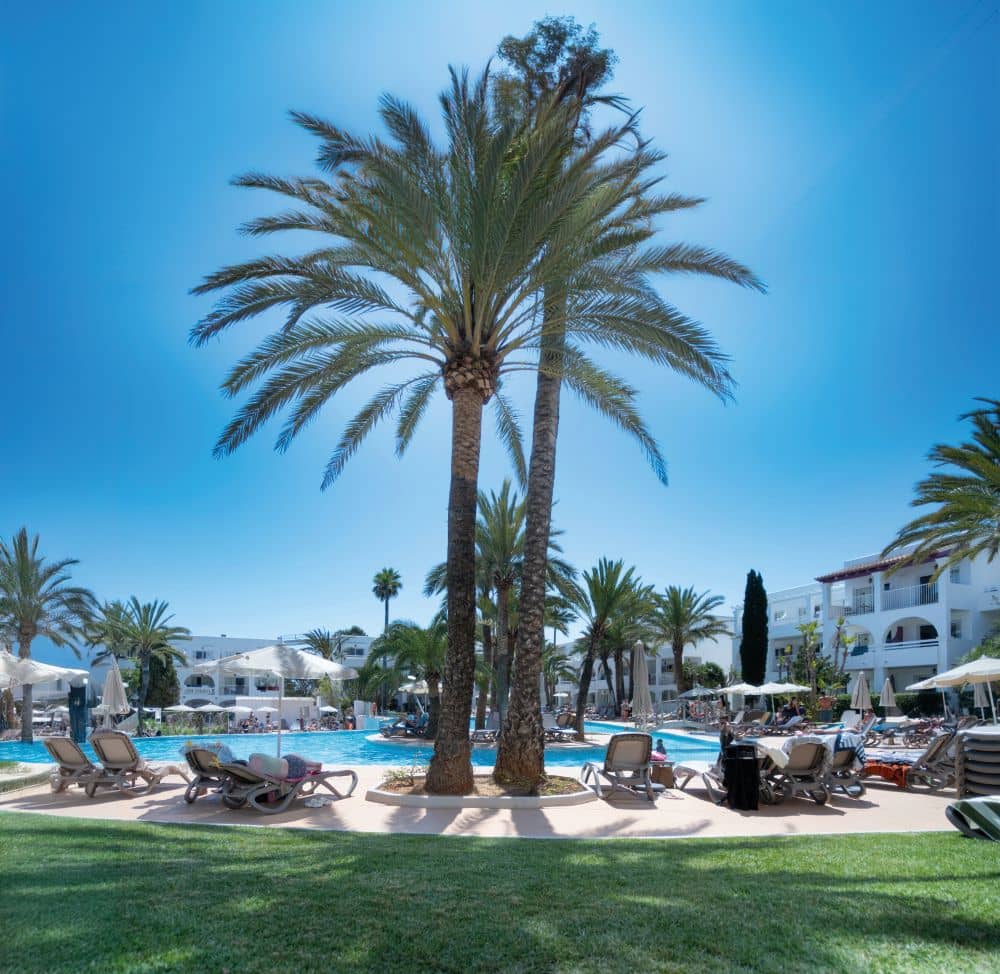 Calimero Fido Gardens
