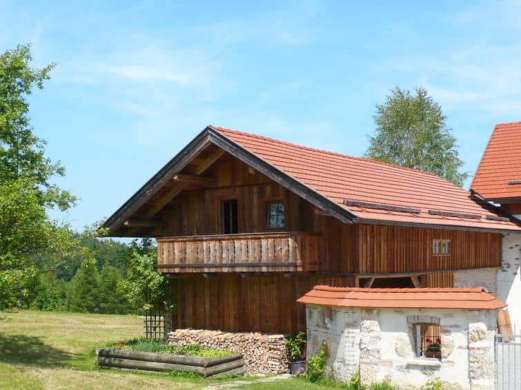 Lehner im Wald (RZM100)
