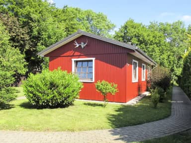 Nachtigall