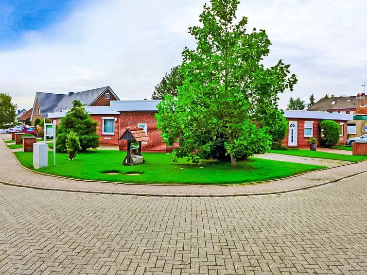 Mondmuschel