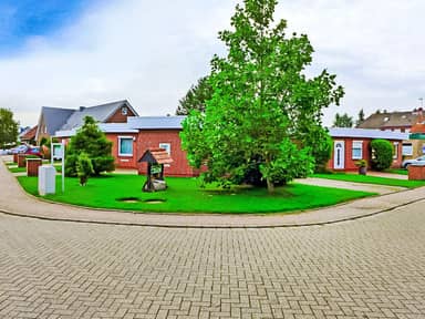 Mondmuschel