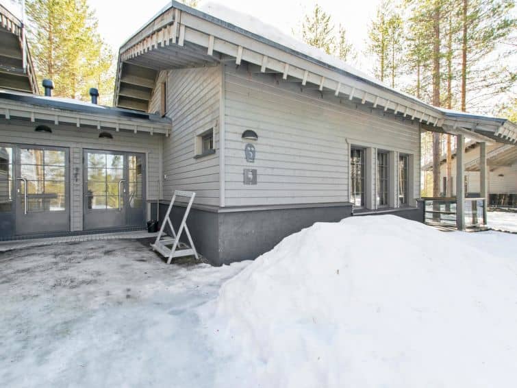 Tunturipöllö 2