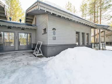 Tunturipöllö 2