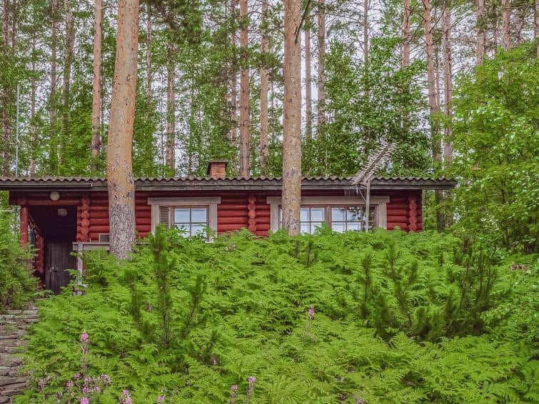 Pihamökki, cjoe145