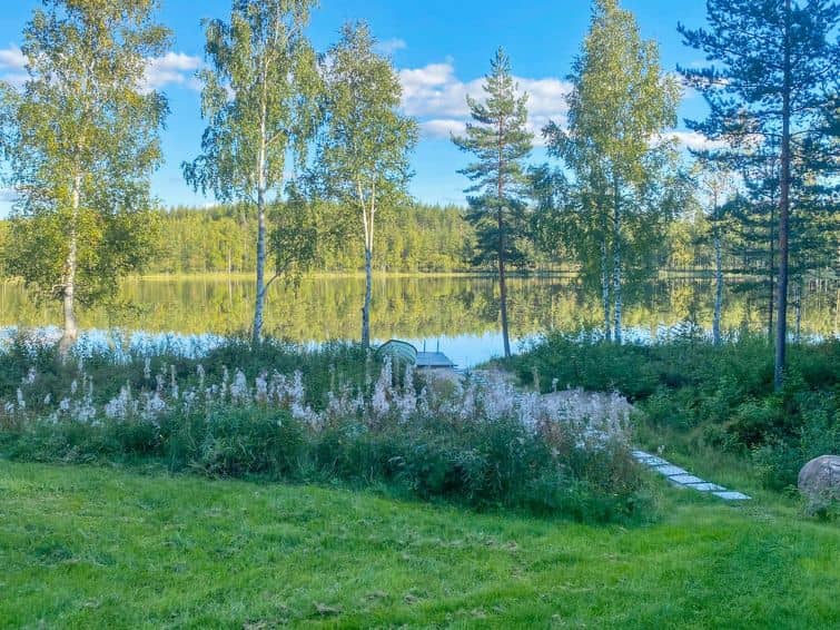 Metsälampi
