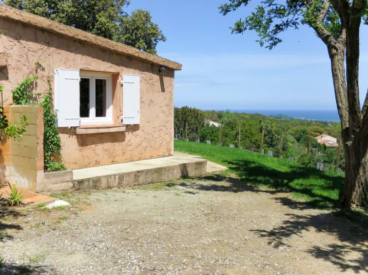 Rutili (CTN260)