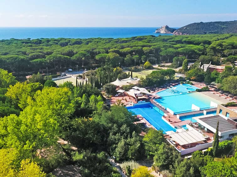 Tipo C