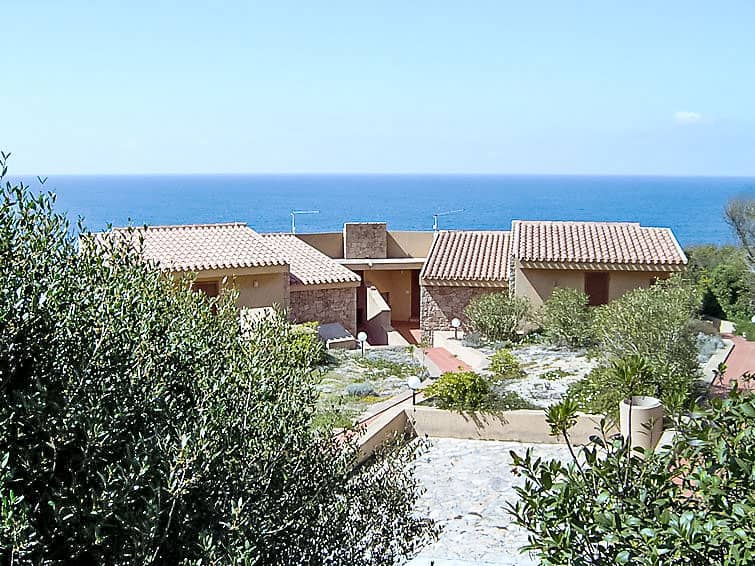 Mare