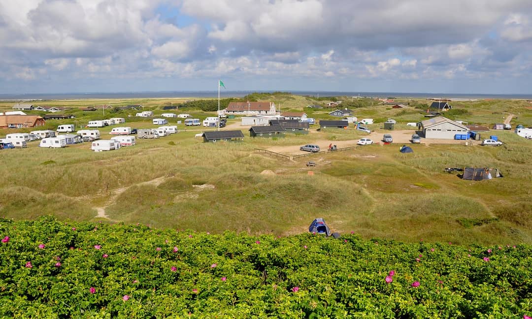 Dancamps Holmsland