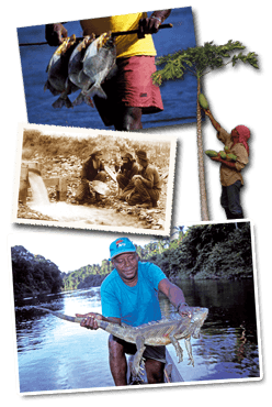 Rondreis Suriname, 20 dagen