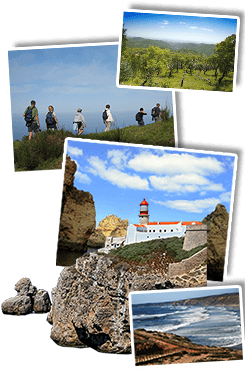 Wandelreis Madeira - Portugal, 8 dagen