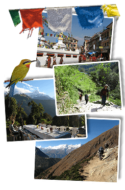 Wandel- en fietsreis Nepal, 18 dagen