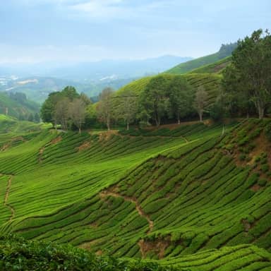 Rondreis Maleisisch Borneo, Sabah & Sarawak, 20 dagen
