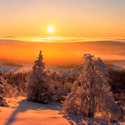 Rondreis Finland, 6 dagen - Natuurreis