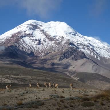 Rondreis Ecuador, 21 dagen