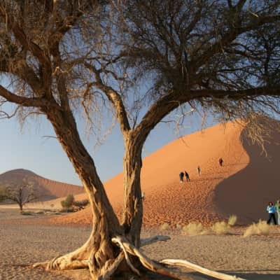 Rondreis Namibië, 21 dagen lodge/hotelreis