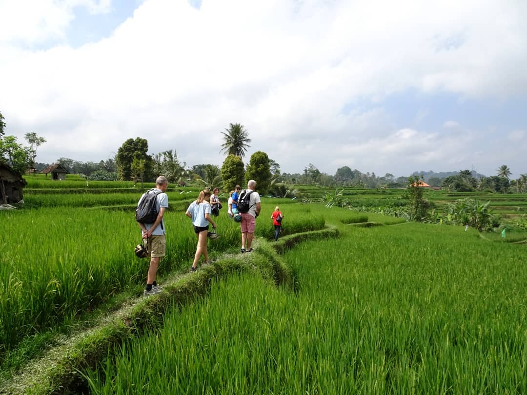 Sumatra, Java & Bali, 22 dagen