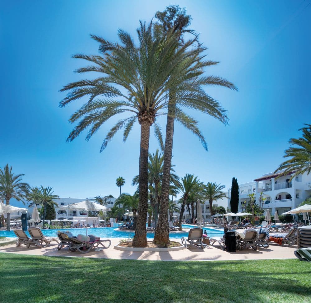 Calimero Fido Gardens