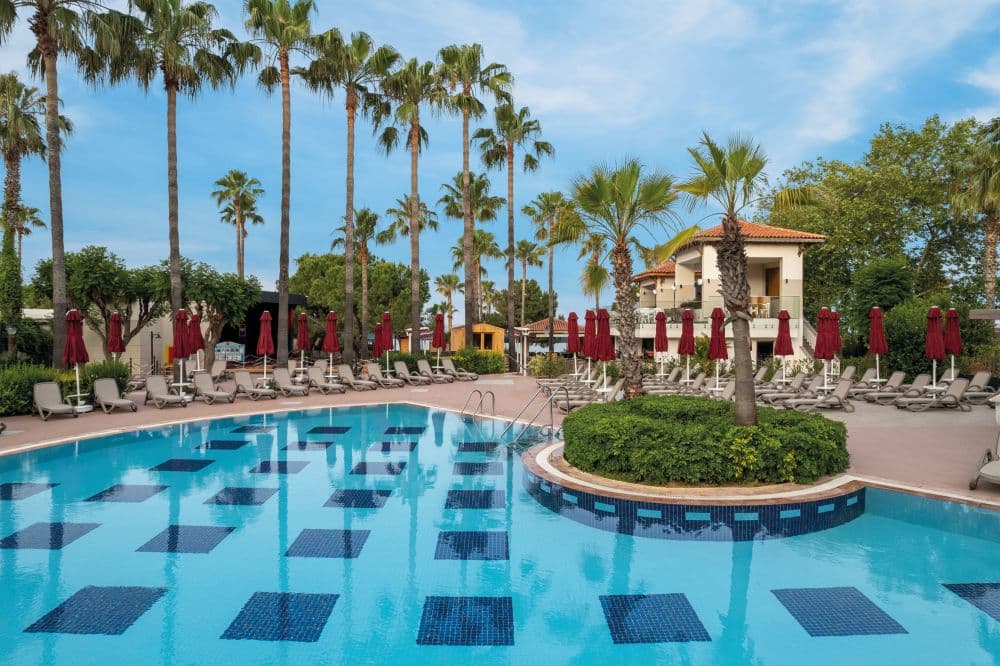 Trendy Palm Beach