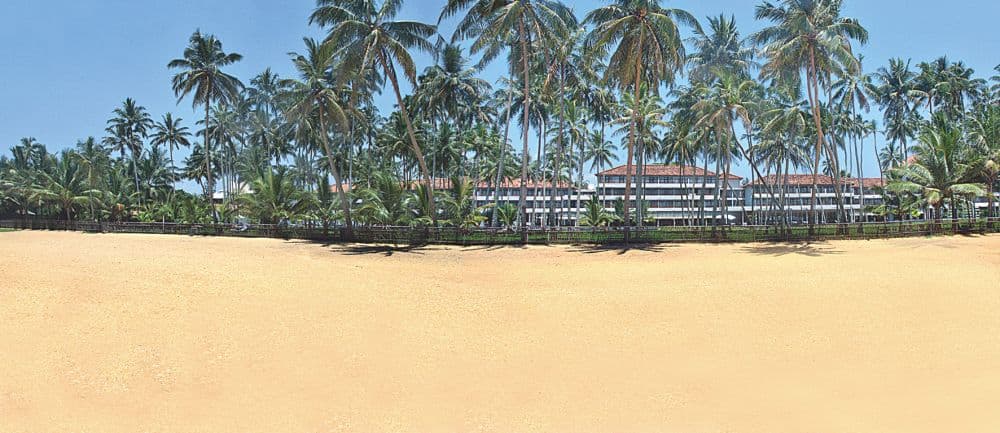 The Blue Water