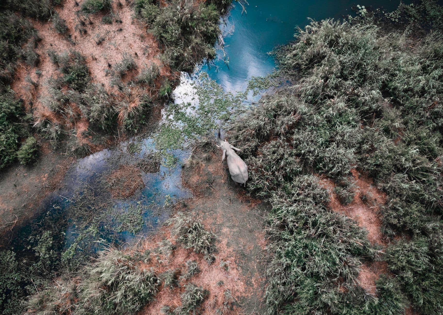 Zambia