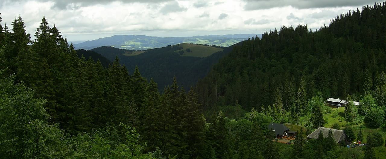 Traveling in the Black Forest