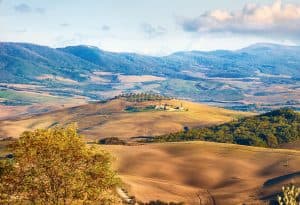typical italian landscape with farmland olive tre 2024 11 27 14 26 17 utc