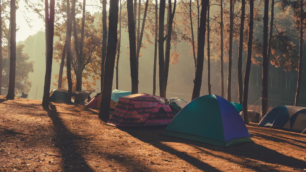 Campings op Terschelling kiezen: van natuurplek tot familiecamping
