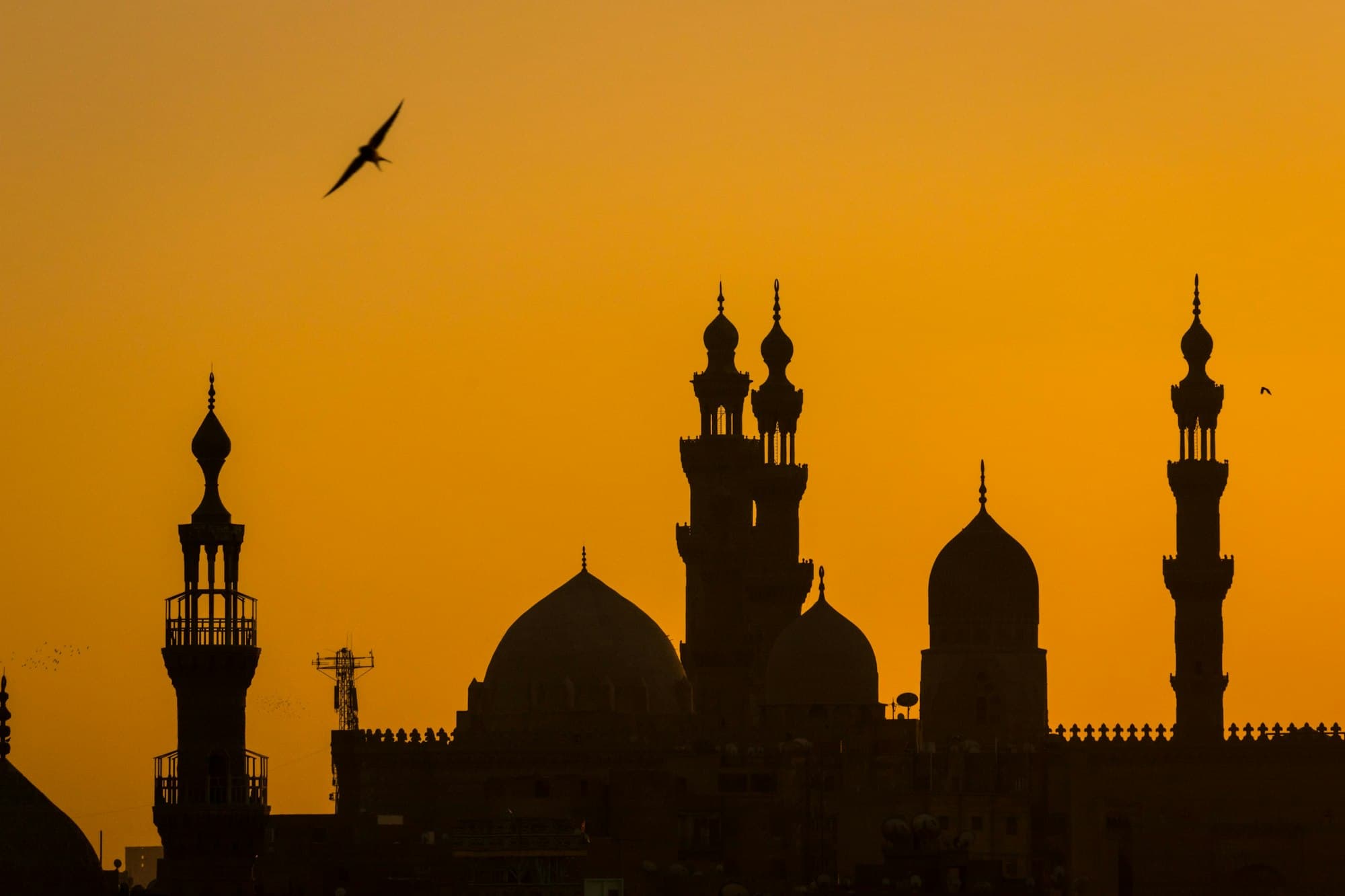 Caïro (Egypte) reisinformatie