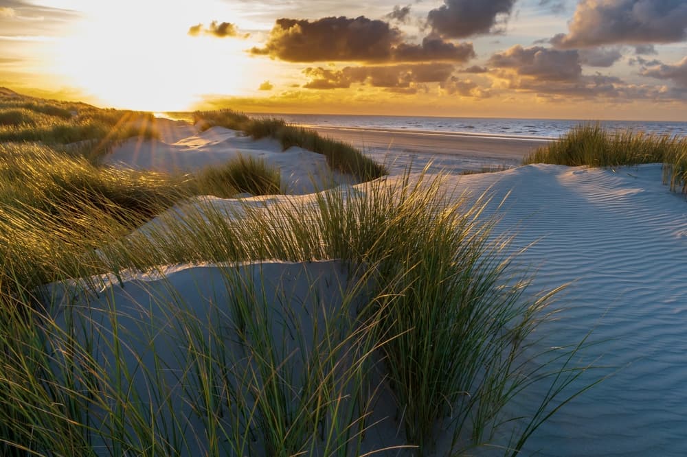 Waarom Ameland je volgende bestemming moet zijn