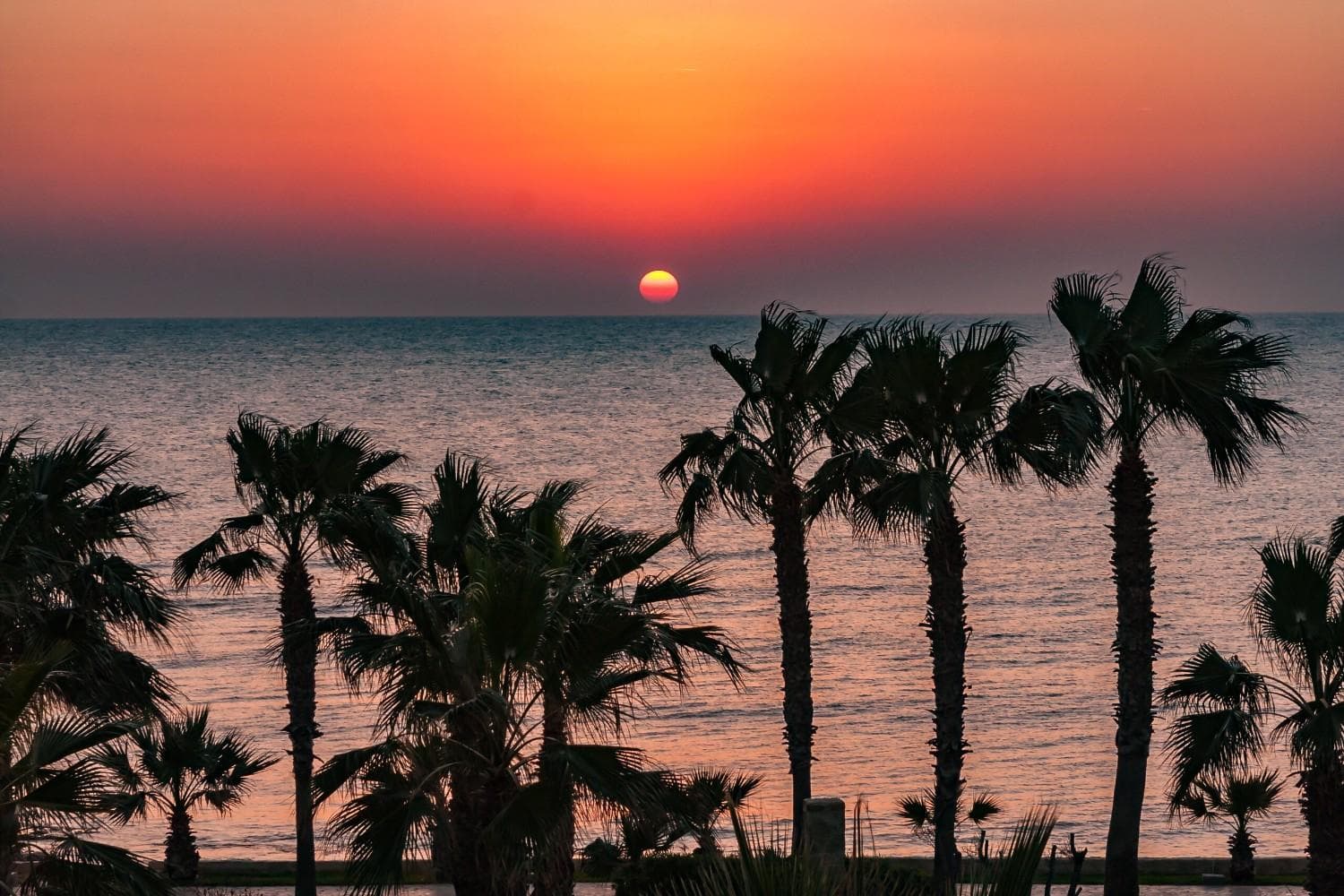Hotels Belek