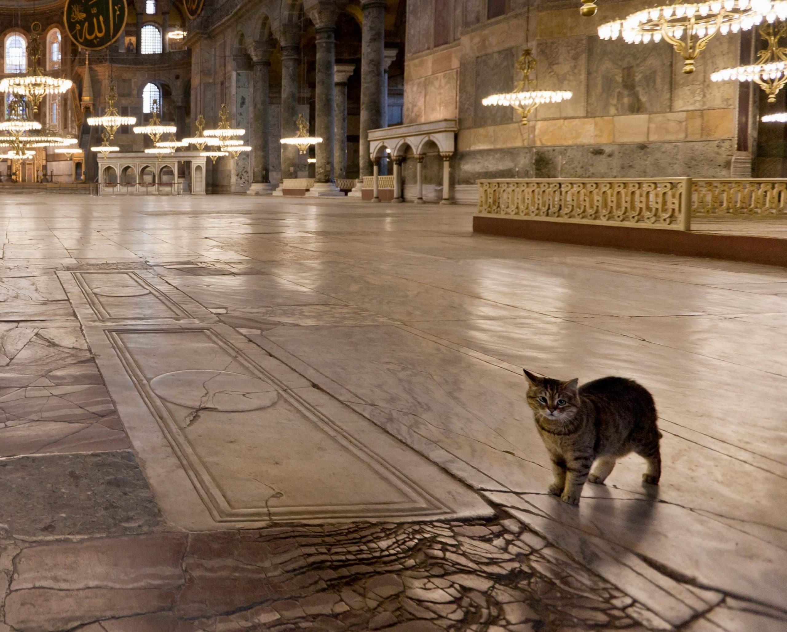 Hagia Sophia bezoeken in Istanbul: historie, regels en slimme plannen