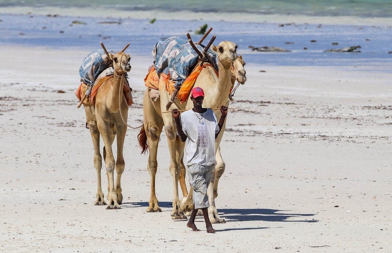 6 adembenemende stranden in Kenia