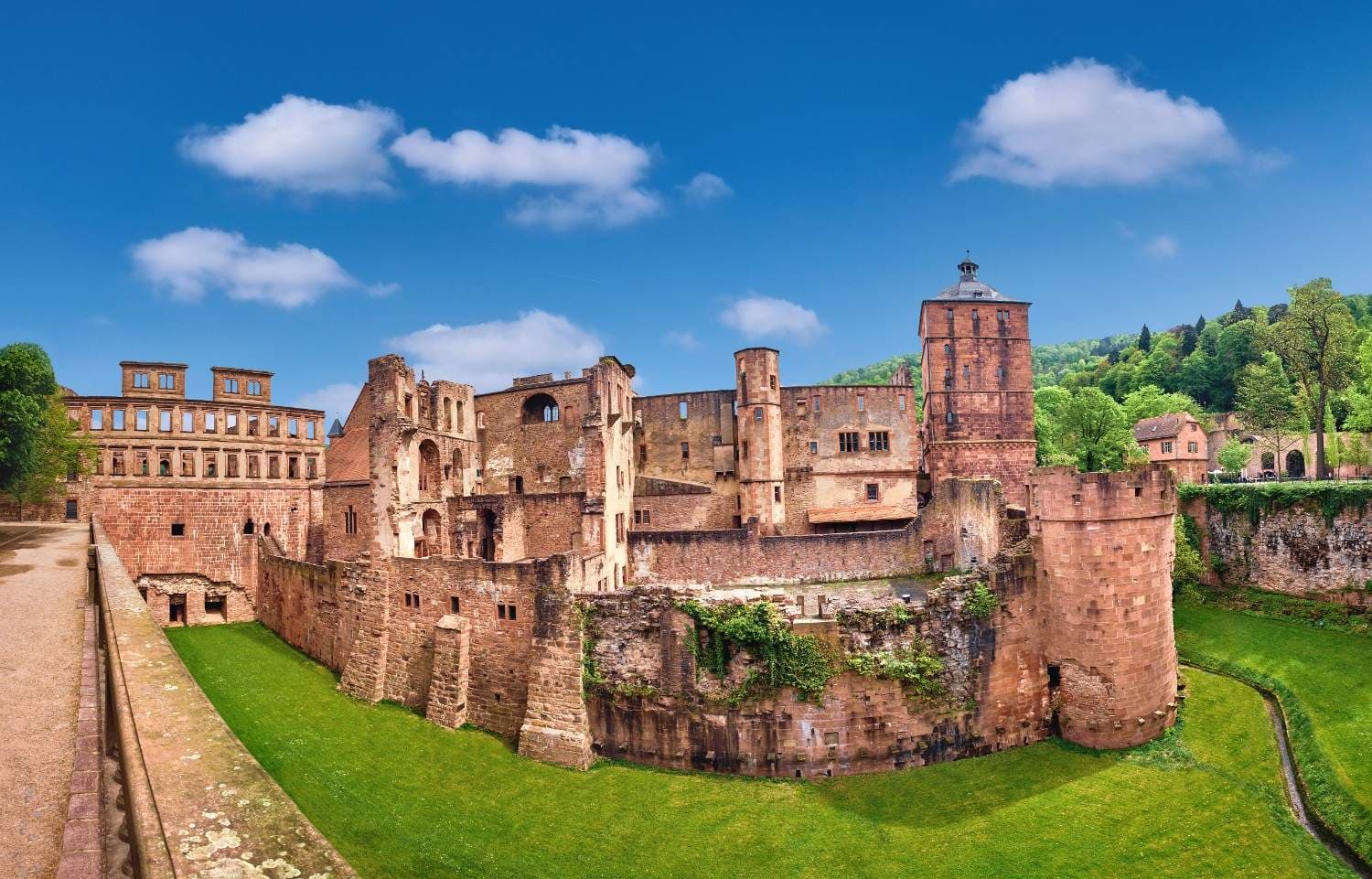 Stedentrip Heidelberg