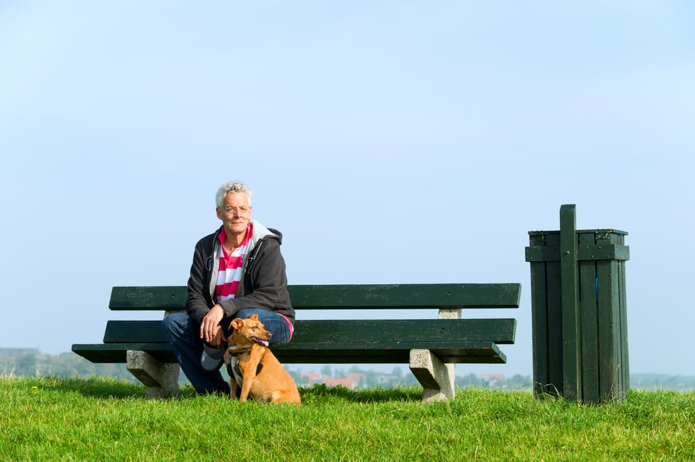 Met de hond op vakantie naar Ameland: een gids