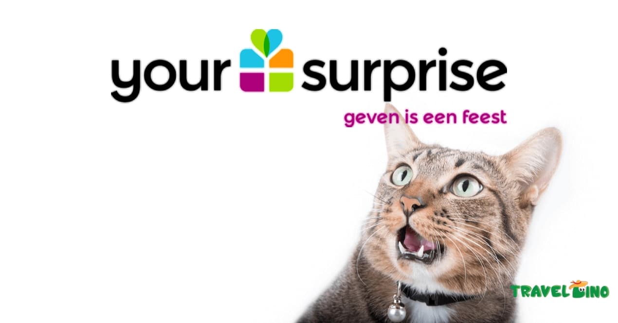 Your Surprise
