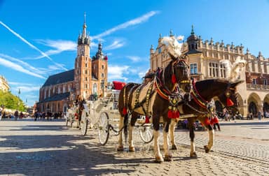 Rondreis POLEN HOOGTEPUNTEN - 15 dagen; Het land van duizend meren