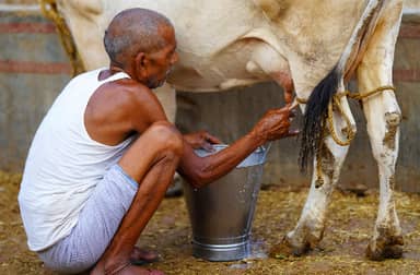 Rondreis ONBEKEND NOORD-INDIA - 16 dagen; Bihar, Uttar Pradesh en Madhya Pradesh