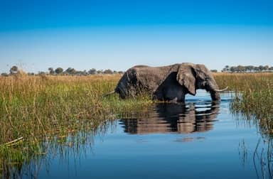 Rondreis BOTSWANA, ZIMBABWE & ZUID-AFRIKA - Internationale Groepsreis - 20 dagen; Afrika's best bewaarde geheim