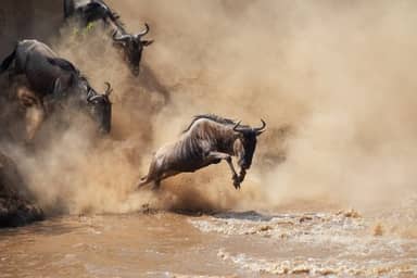 Rondreis KENIA & TANZANIA - Internationale Groepsreis - 14 dagen; Rondreis Kenia en Tanzania: hoogtepunten van Oost-Afrika