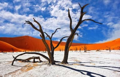 Rondreis ZUID-AFRIKA, NAMIBIË, BOTSWANA & ZIMBABWE - 26 dagen; Zuidelijk Afrika: van Sossusvlei tot Victoriawatervallen