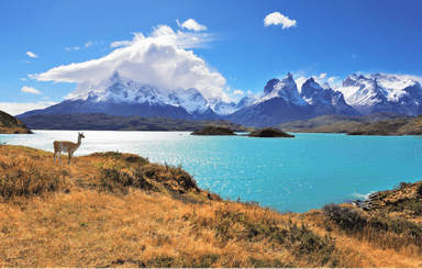 Rondreis PATAGONIË - 24 dagen; Einde van de wereld
