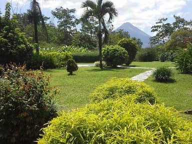 Tangara Arenal