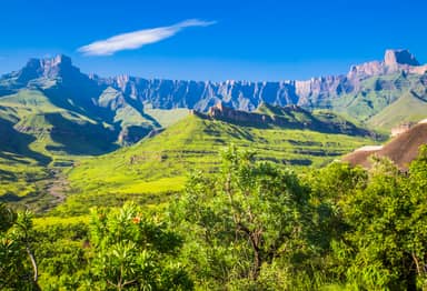 Leeuwen en Zuid-Afrikaanse Magie