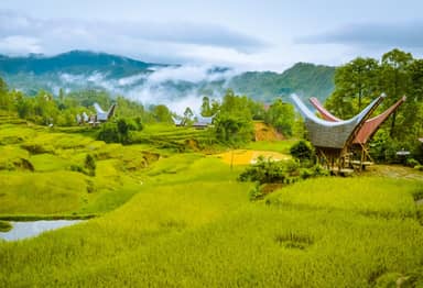 Highlights Sulawesi en Bali