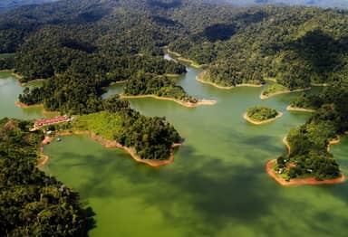 De natuur van Belum Rainforest