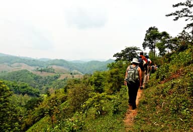 Chiang Mai Jungle Trekking
