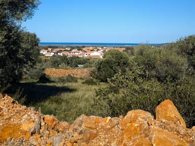 Orris camp