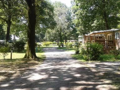 Camping OAKi